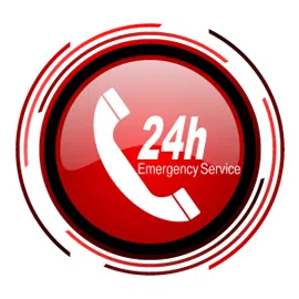 Coral Springs Restoration Expert Coral Springs, FL 954-355-0054 Coral Springs Restoration Expert Coral Springs, FL 954-355-0054