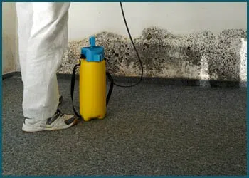 Coral Springs Restoration Expert Coral Springs, FL 954-355-0054 Coral Springs Restoration Expert Coral Springs, FL 954-355-0054 - city-page-mold