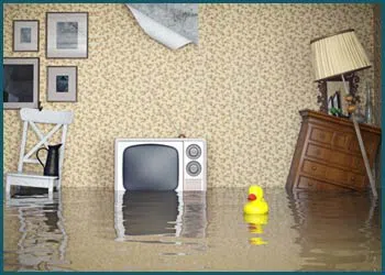 Coral Springs Restoration Expert Coral Springs, FL 954-355-0054 Coral Springs Restoration Expert Coral Springs, FL 954-355-0054 - city-page-water-damage