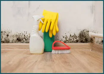 Coral Springs Restoration Expert Coral Springs, FL 954-355-0054 Coral Springs Restoration Expert Coral Springs, FL 954-355-0054 - mold-inner