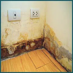 Coral Springs Restoration Expert Coral Springs, FL 954-355-0054 - water-damage-sidebar